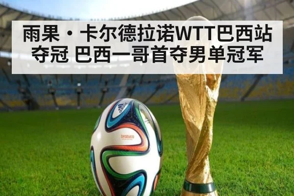 雨果·卡尔德拉诺WTT巴西站夺冠 巴西一哥首夺男单冠军 | jiuyou game